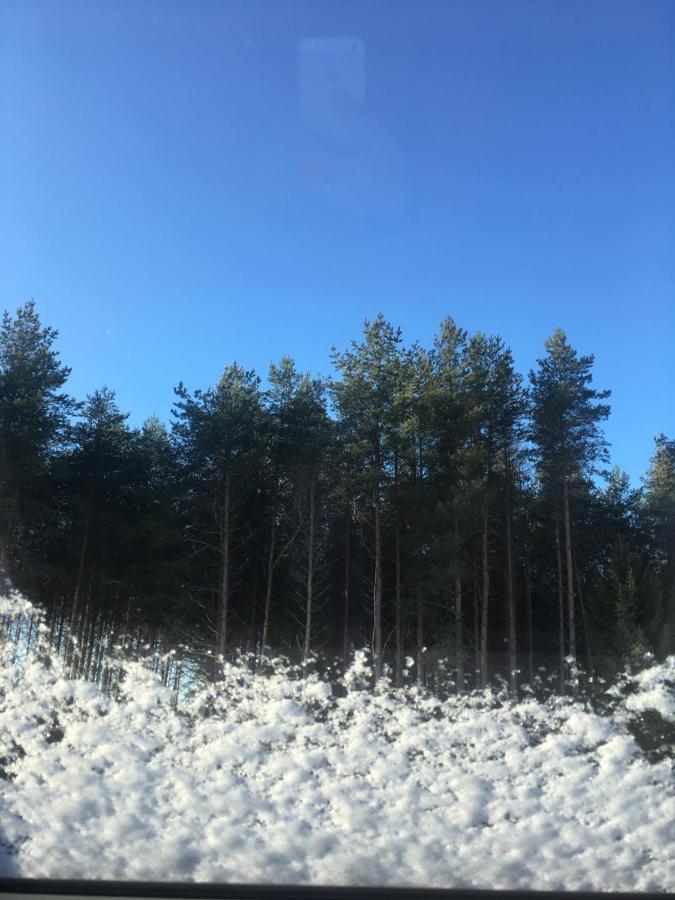 Kaeaenu Puhkemaja Villa Rakvere Buitenkant foto
