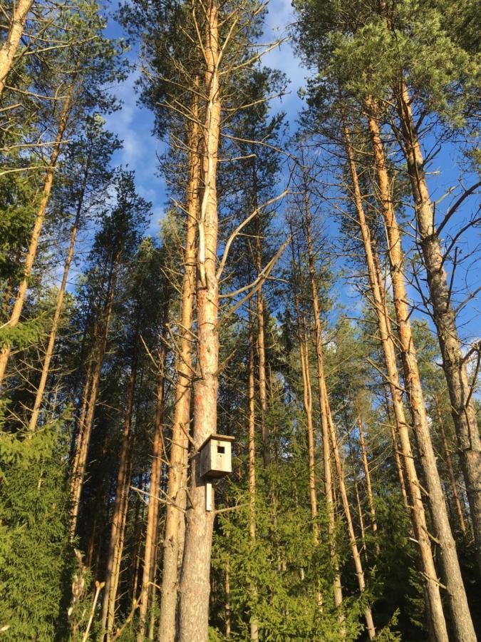 Kaeaenu Puhkemaja Villa Rakvere Buitenkant foto
