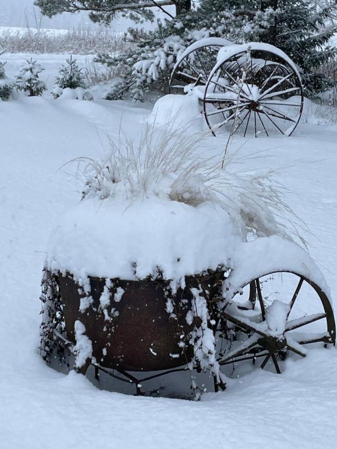 Kaeaenu Puhkemaja Villa Rakvere Buitenkant foto